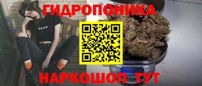 эйфоретик Нарткала