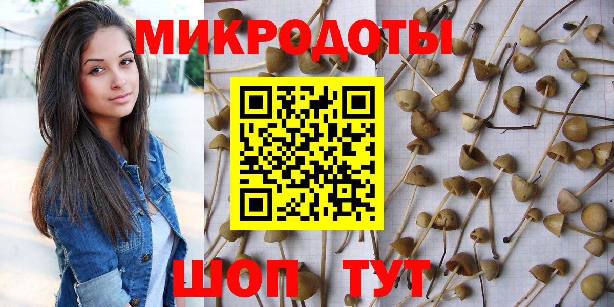 Галлюциногенные грибы мицелий Пушкино